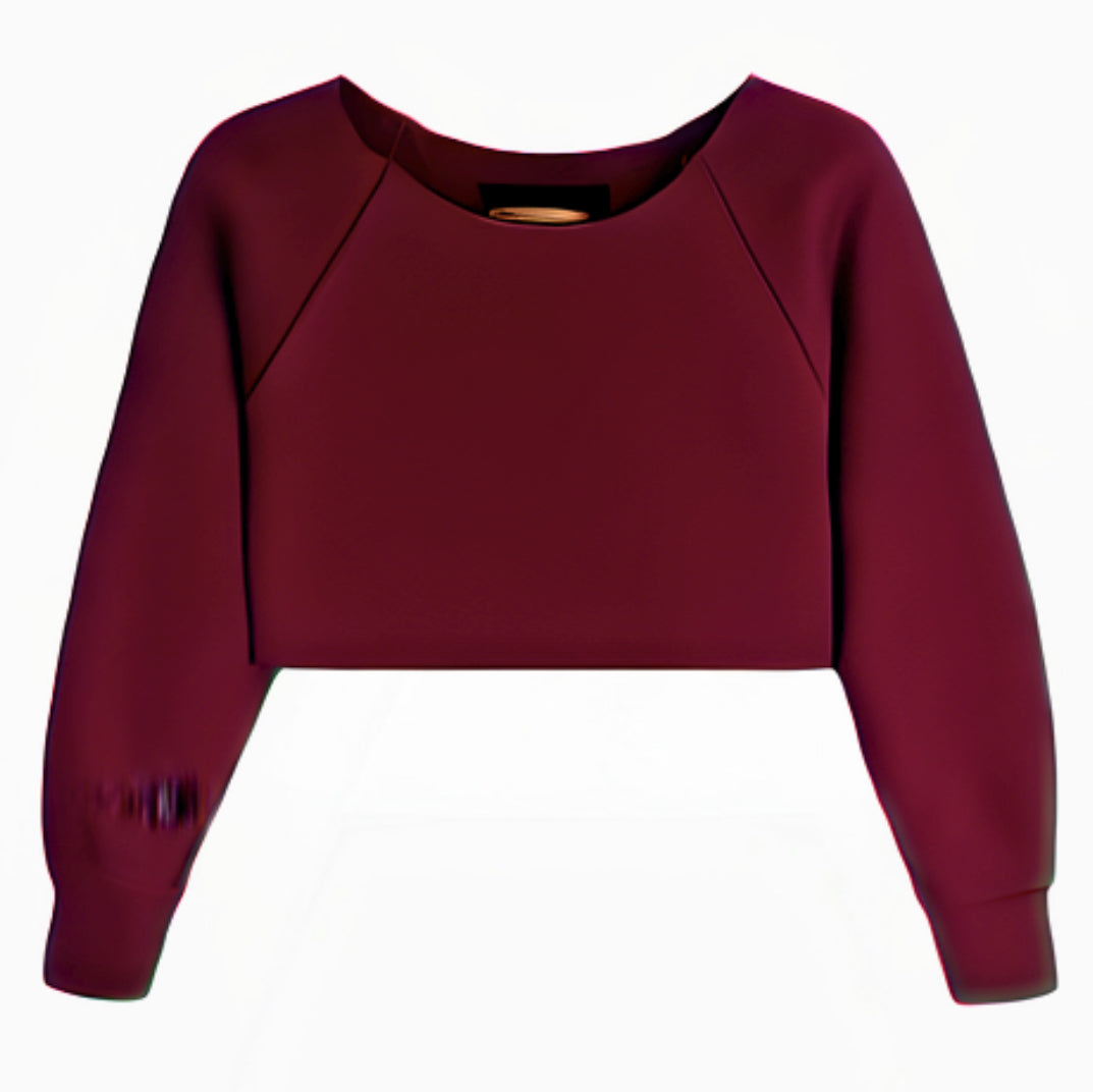SHANE CROP SWEATER | MULBERRY