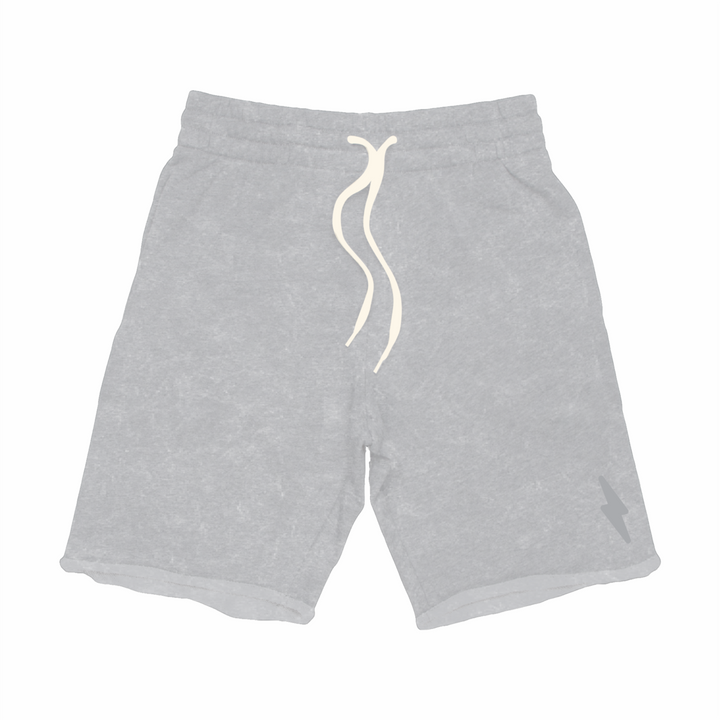 MARINE LAYER SWEAT SHORTS | SLATE