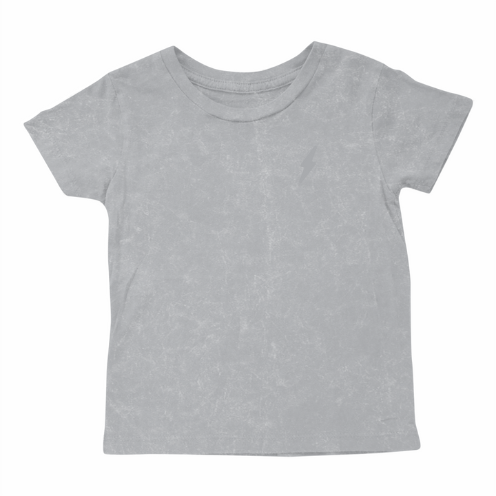 MARINE LAYER T-SHIRT | SLATE